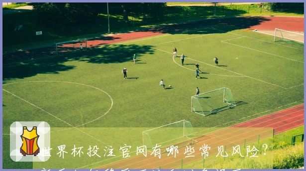 世界杯投注官网有哪些常见风险？新手如何稳妥下注和避免误区