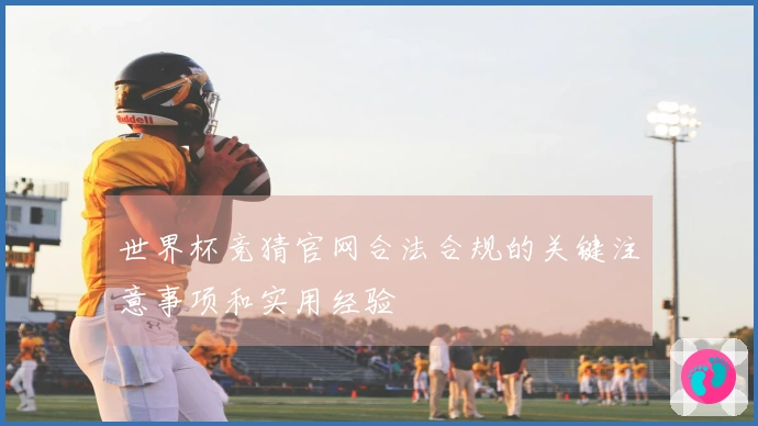 世界杯竞猜官网合法合规的关键注意事项和实用经验