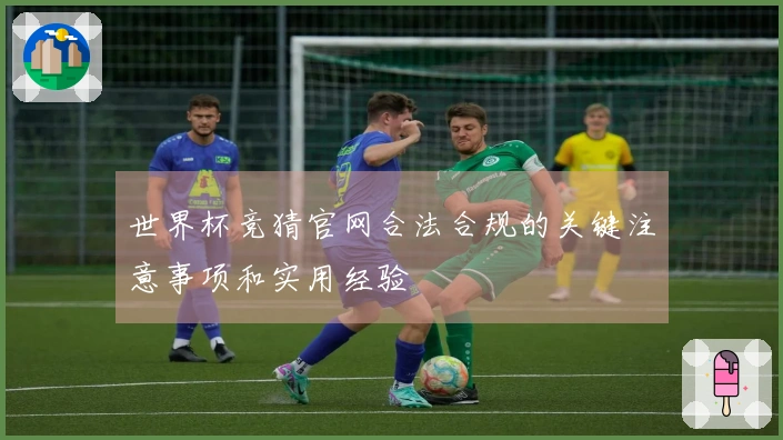 世界杯竞猜官网合法合规的关键注意事项和实用经验